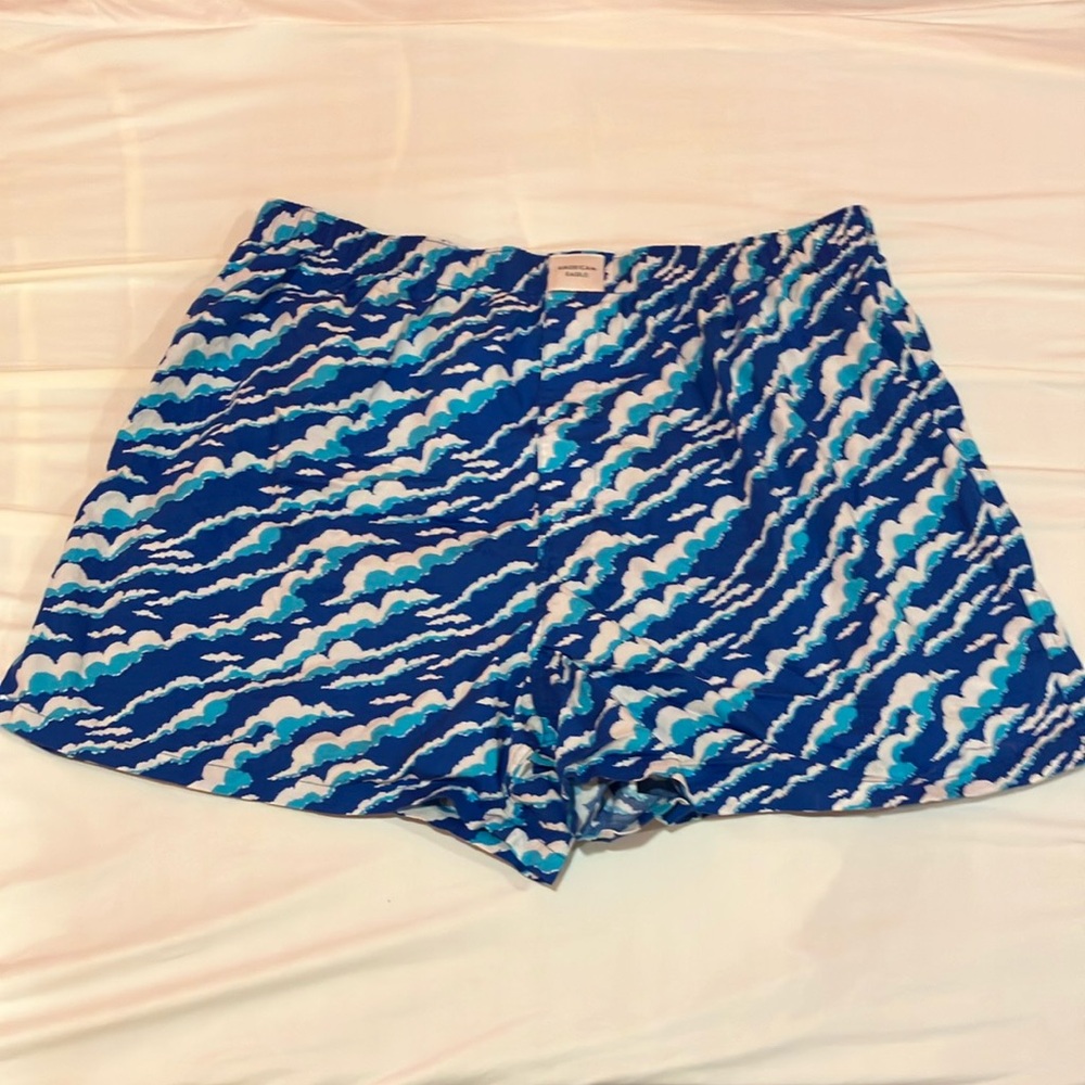 American Eagle Blue and White Cloud Boxers